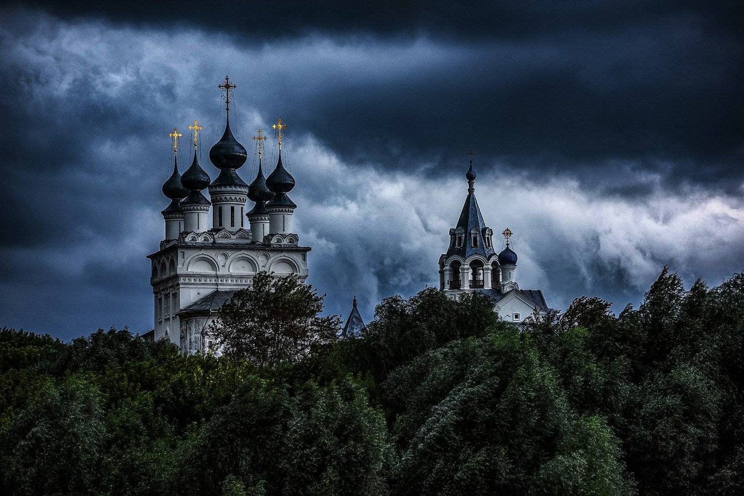 муром, фронт, день, Владимир Штыриков