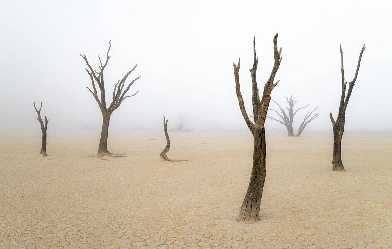 , Евгений Бушков