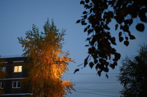 В свете фонарей