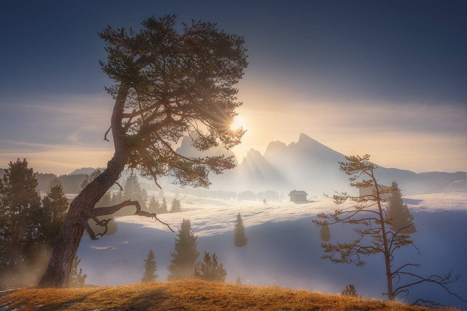 alpe, di, siusi, dolomiti, landscape, italy, winter, autumn, snow, tree, mountain, , Roberto Pavic