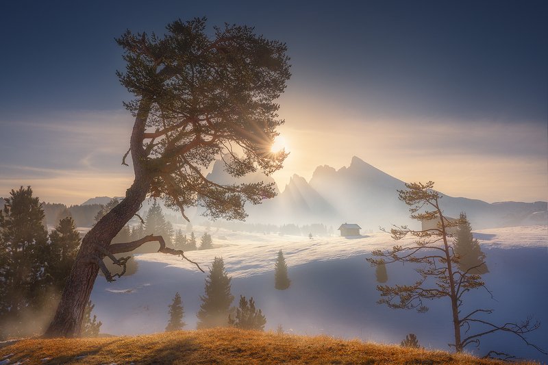 alpe, di, siusi, dolomiti, landscape, italy, winter, autumn, snow, tree, mountain,  alpe di siusi фото превью