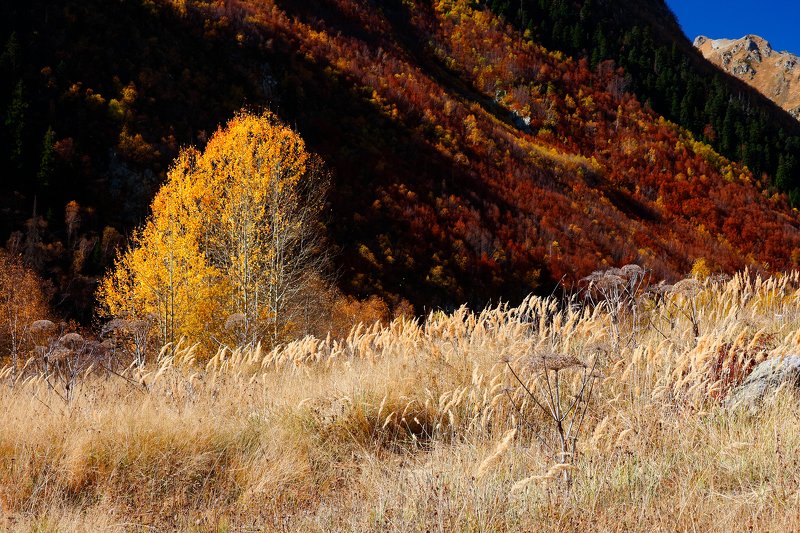 домбай, осень, горы, кчр, гоначхир, гоначхирскоеущелье,  фото превью