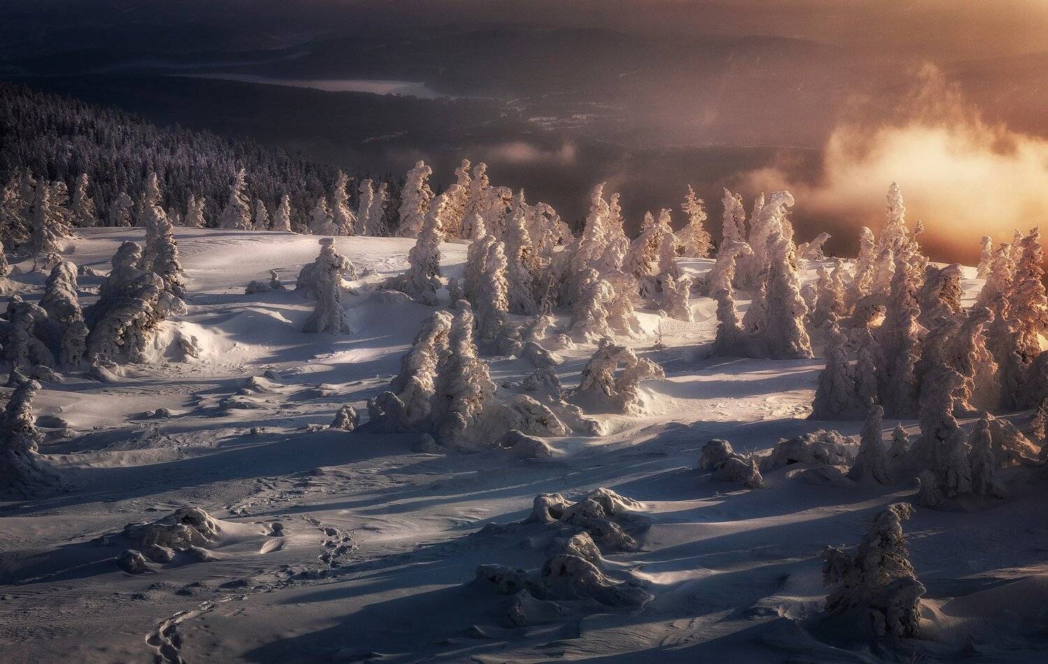 , Татьяна Бирюкова