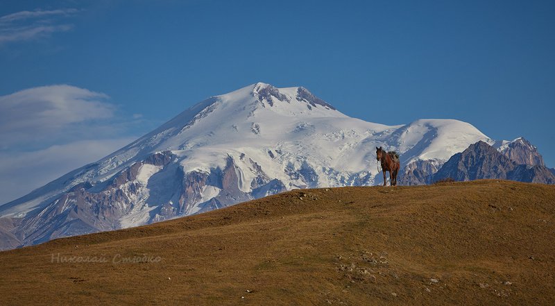 кавказ горы осень эльбрус конь Гора и лошадка фото превью