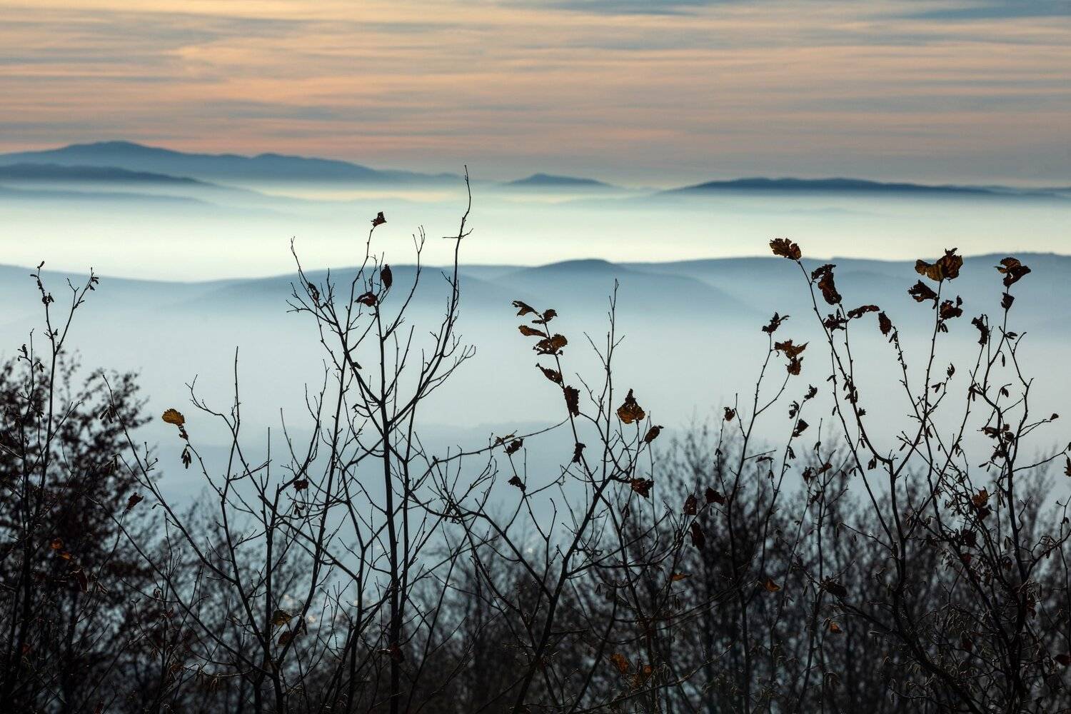 , Александър Сандев