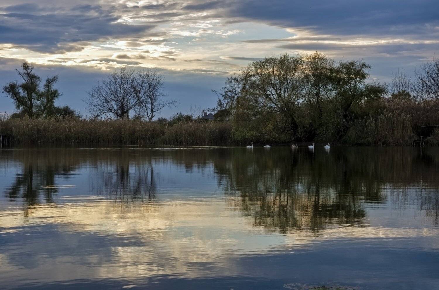 , Алексей Рыльский