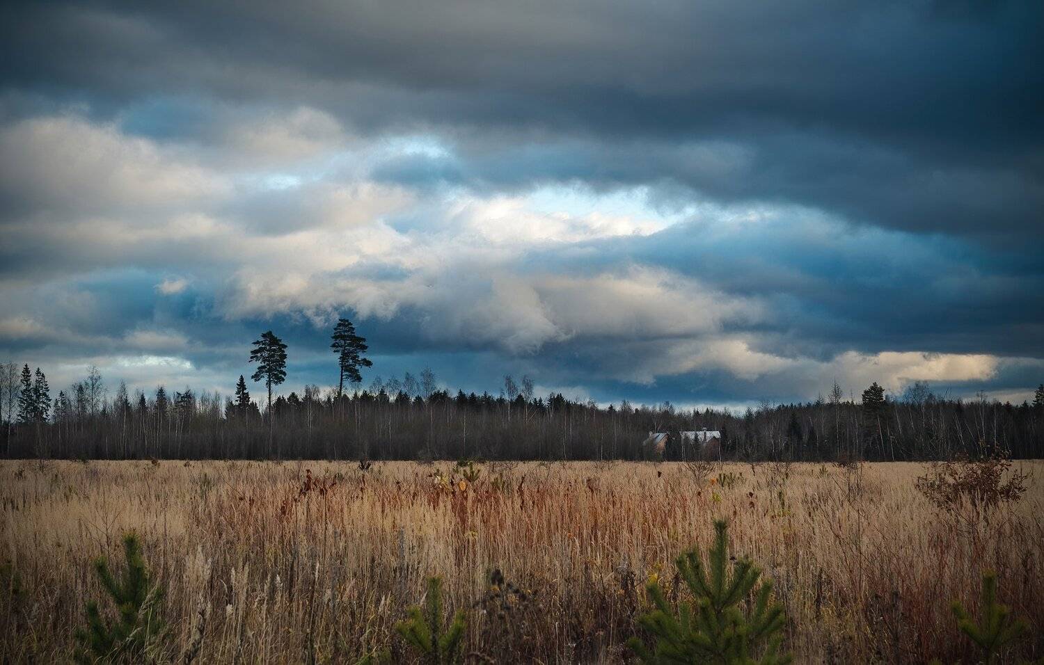 , Константин Дэм