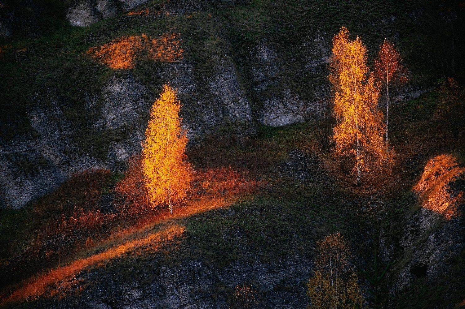 пермский край, осень, рассольная, россия, урал, береза, вечер, закат, пейзаж, скала, Кирилл Кузнецов