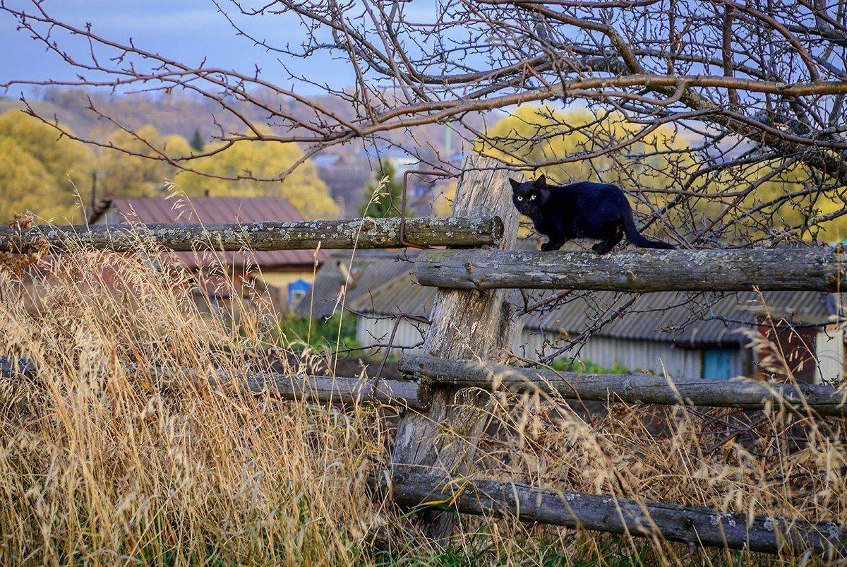 осень, село, Владислав Никишин