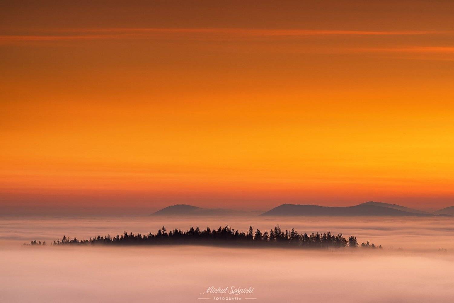 #poland #sunrise #pentax #benro #sky #fog #foggy #color #morning #trees, Michał Sośnicki