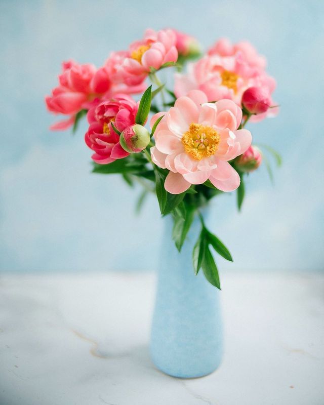 лето, пионы, свет, розовый, желтый, букет  фото превью