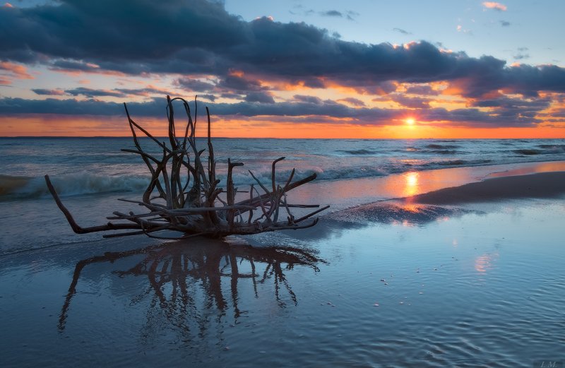 море, закат, вечер, солнце, тучи, отражение, волны, seascape, sun. clouds, light, reflections, waves, sea, evening, sunset, colors, blue \