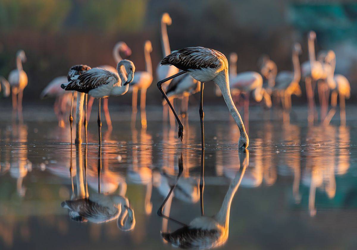 , Sławek Przybylski