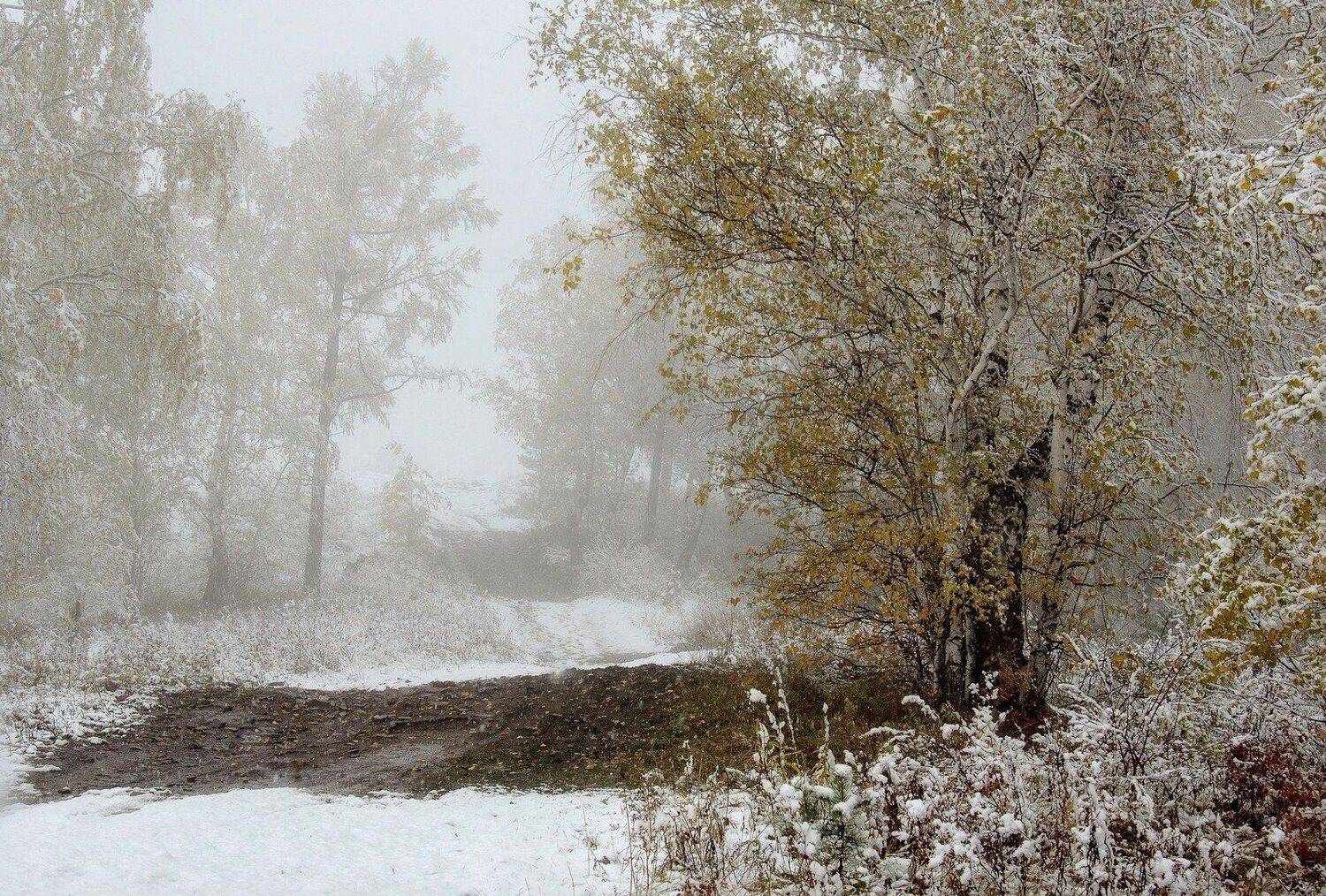 красноярск, торгашинский хребет., Марина Фомина