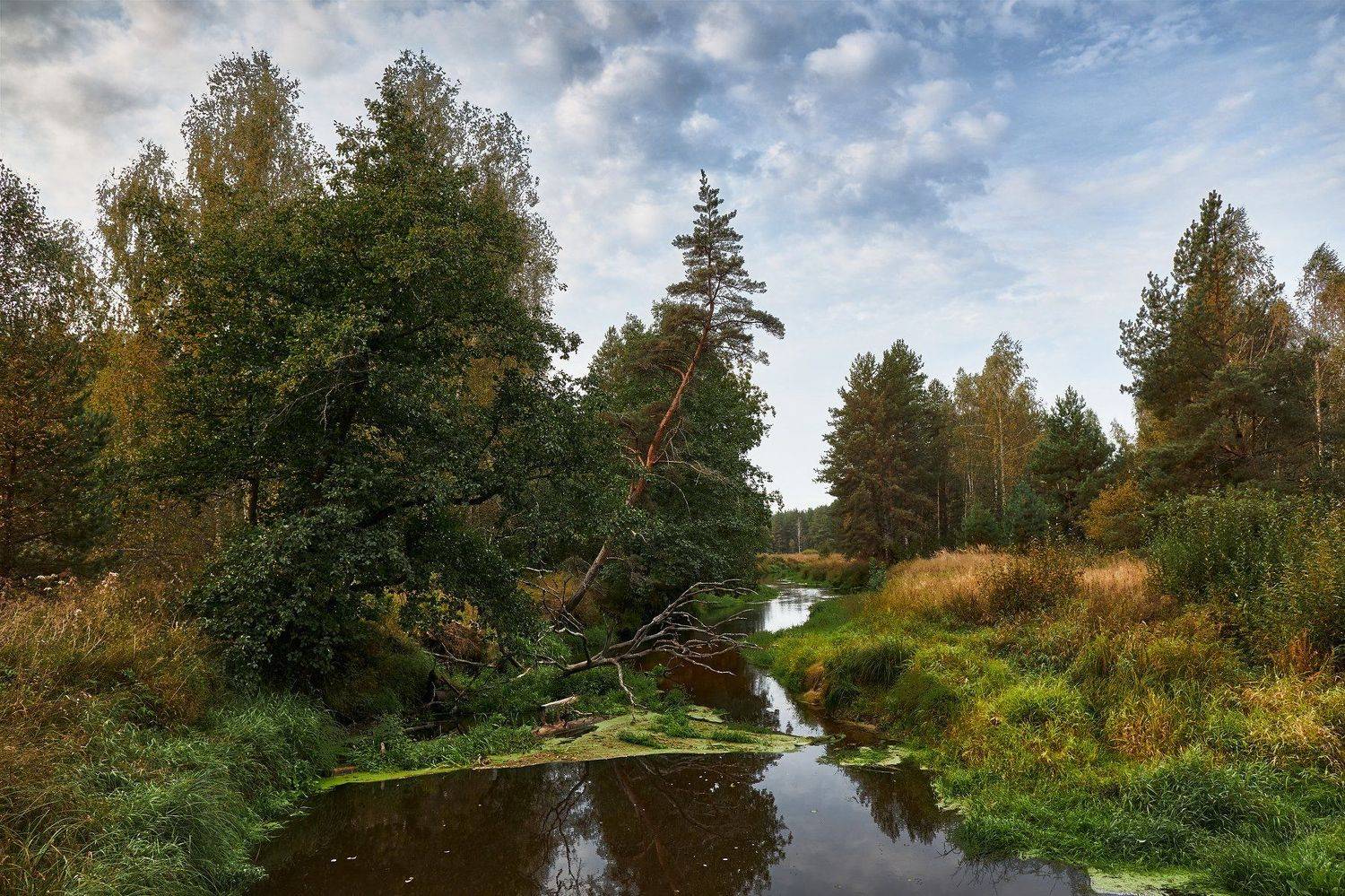 , Евгений Гаганов