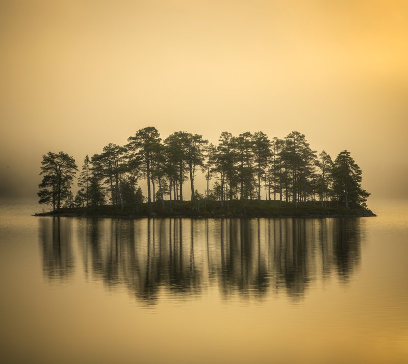 The Island фото превью
