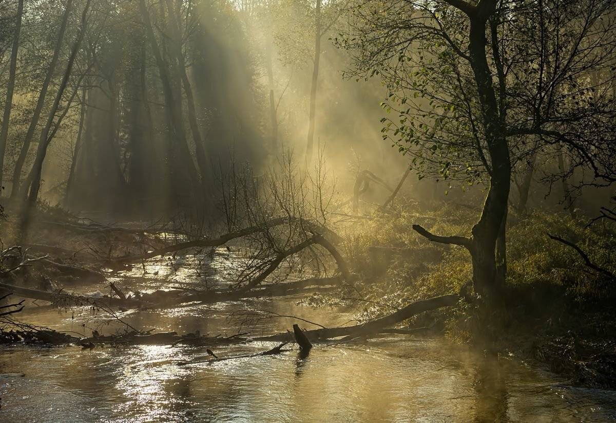 , Sławek Przybylski