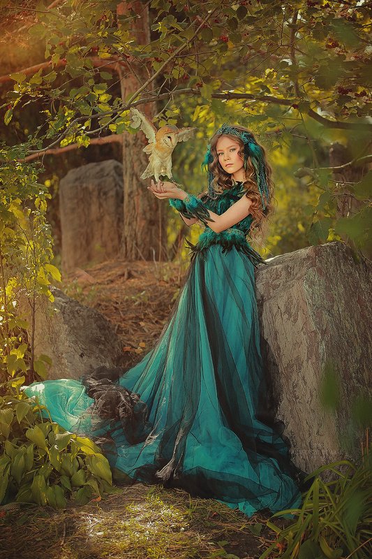 Сияя птица фото превью