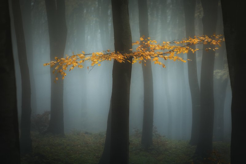 Осень в Болгарии фото превью
