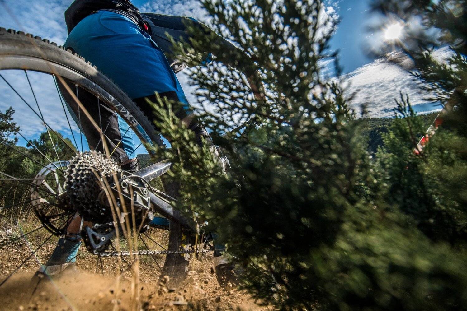 , Юрий Шумейко