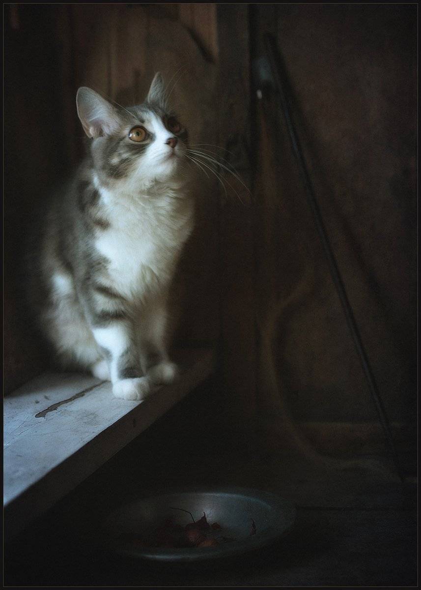 , Александр Хромеев