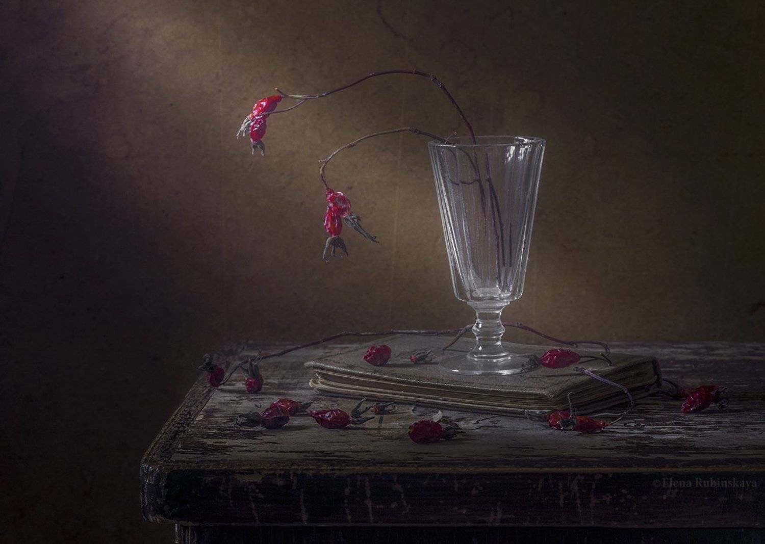 , Елена Рубинская