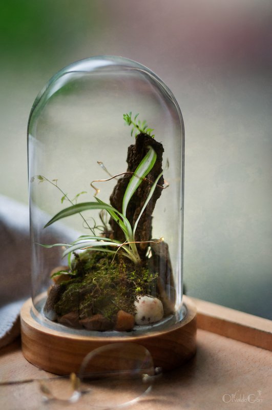 Cristal фото превью