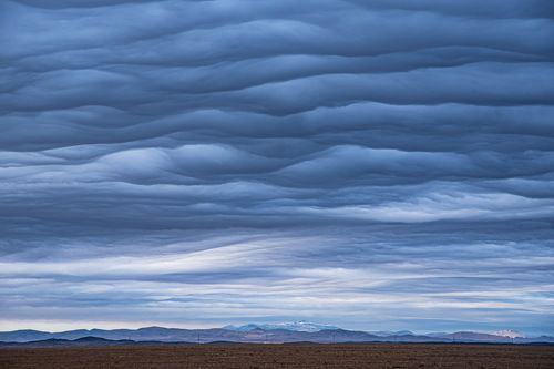 Амурские волны.