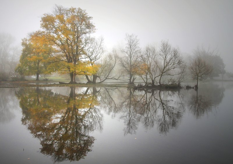 ... фото превью