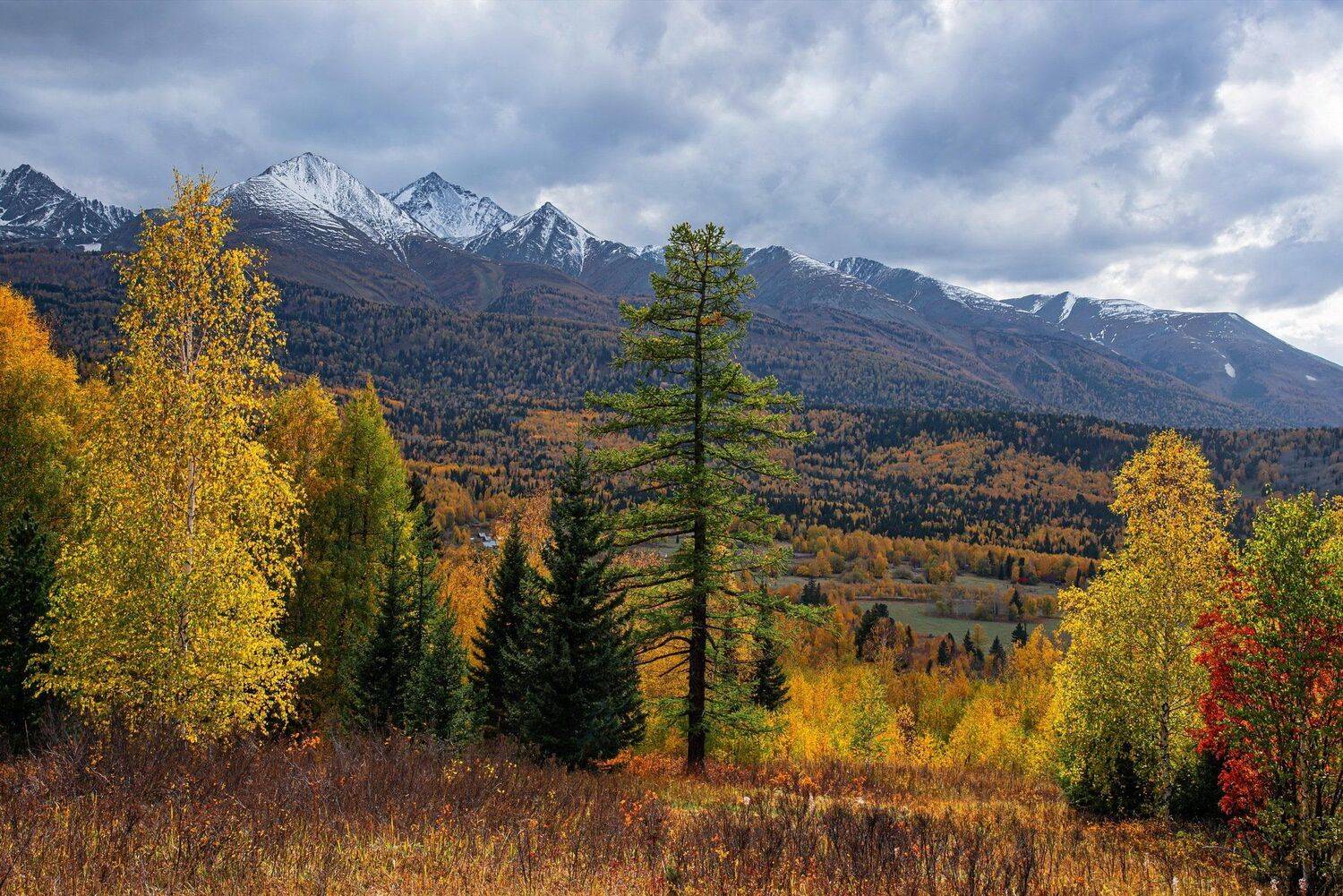 алтай. осень. горы., Евгений Дроботенко