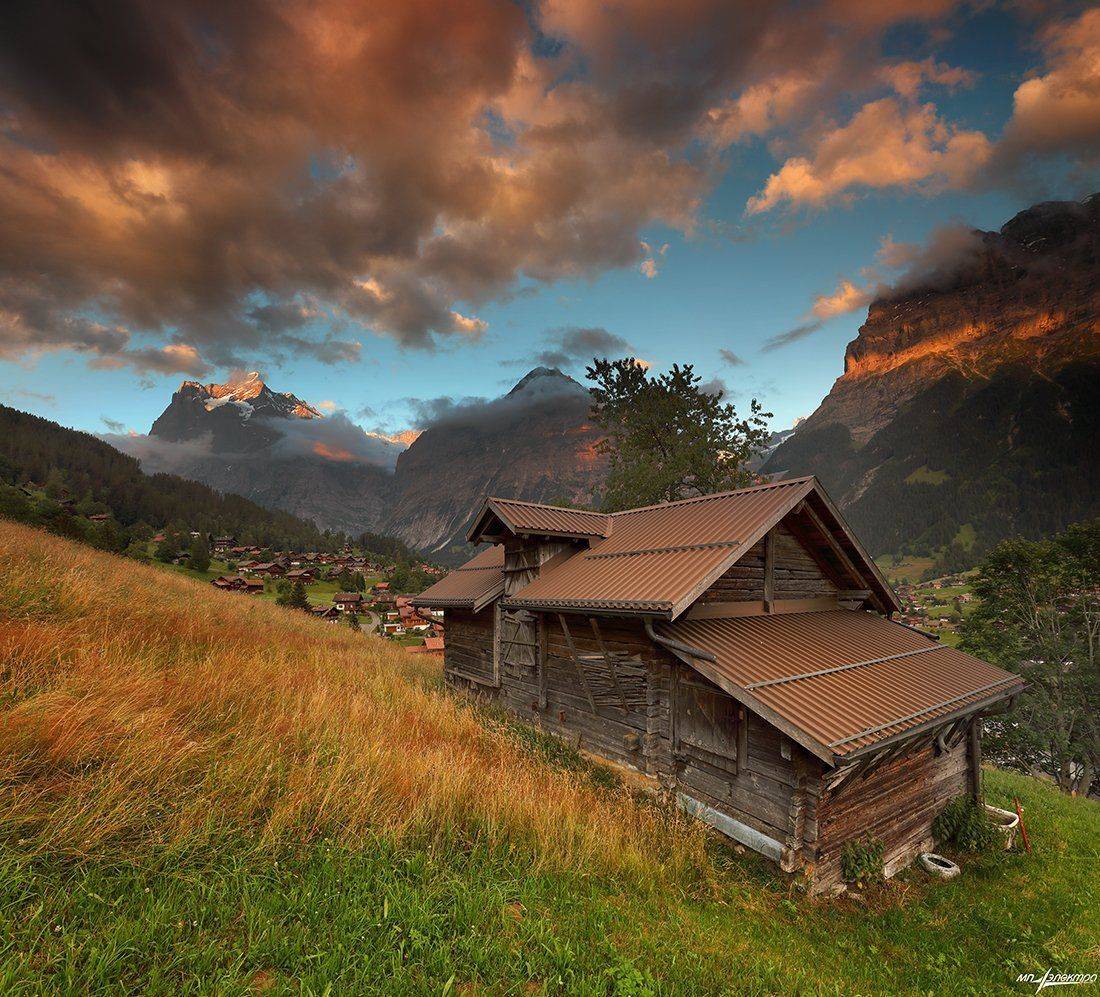 swiss, Матвеев Николай