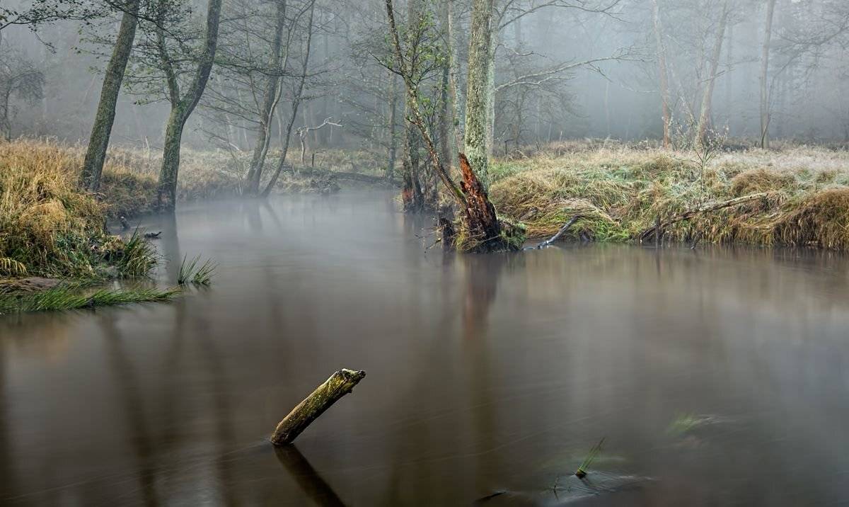 , Sławek Przybylski