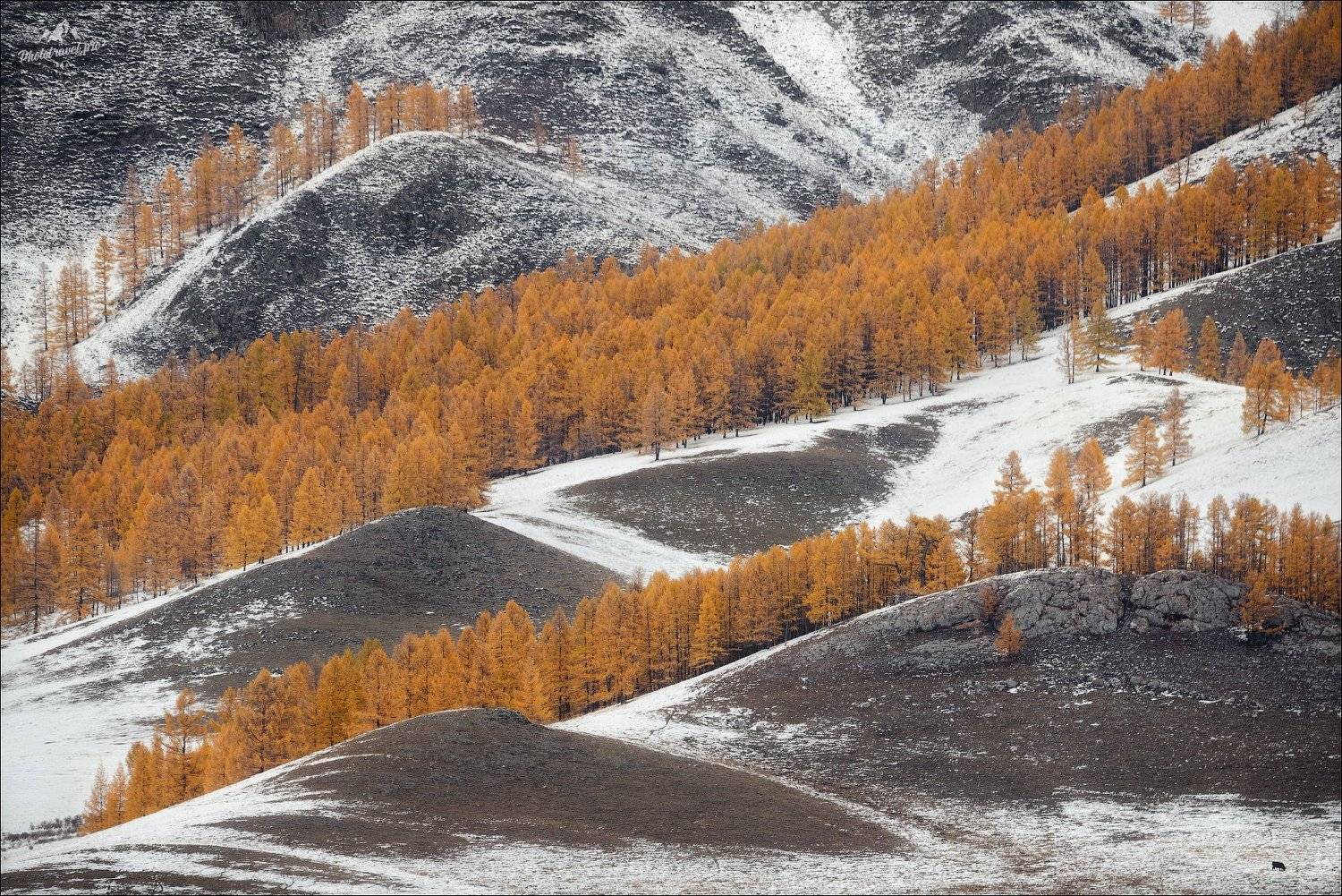 алтай, горный алтай, усть-кан, осень, Влад Соколовский