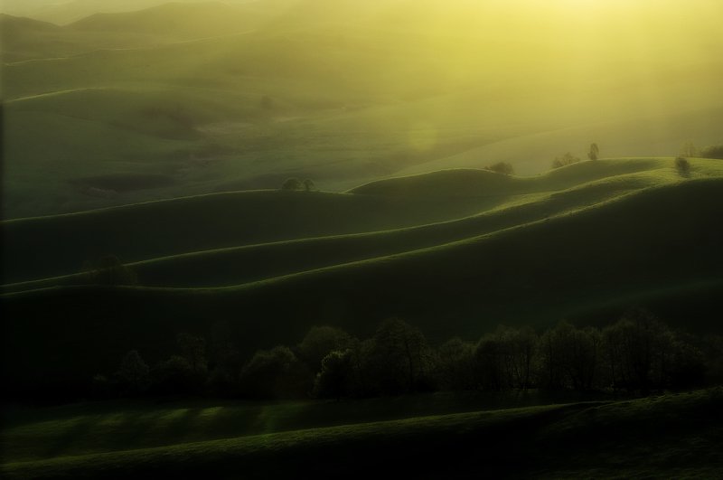 Волнение фото превью