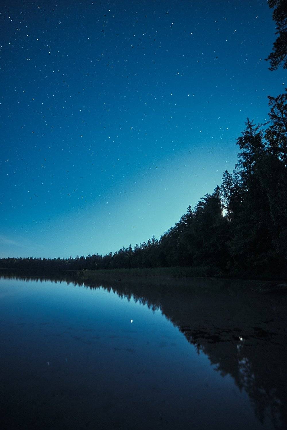 , Александр Фанковин