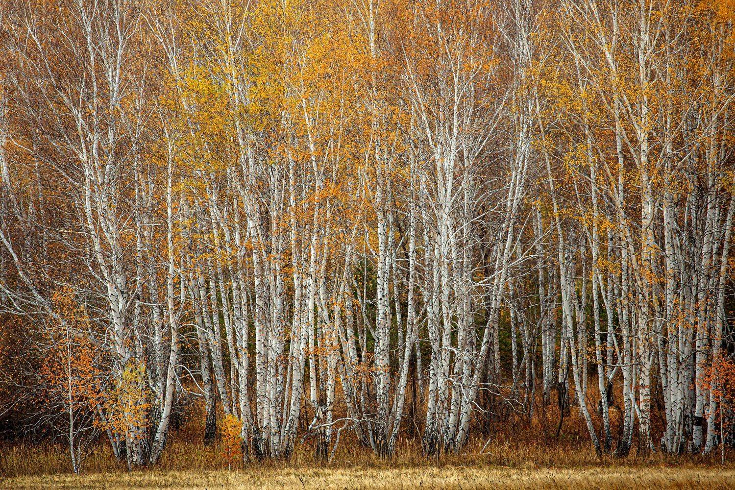 башкирия, южный урал орск новотроицк, Качурин Алексей