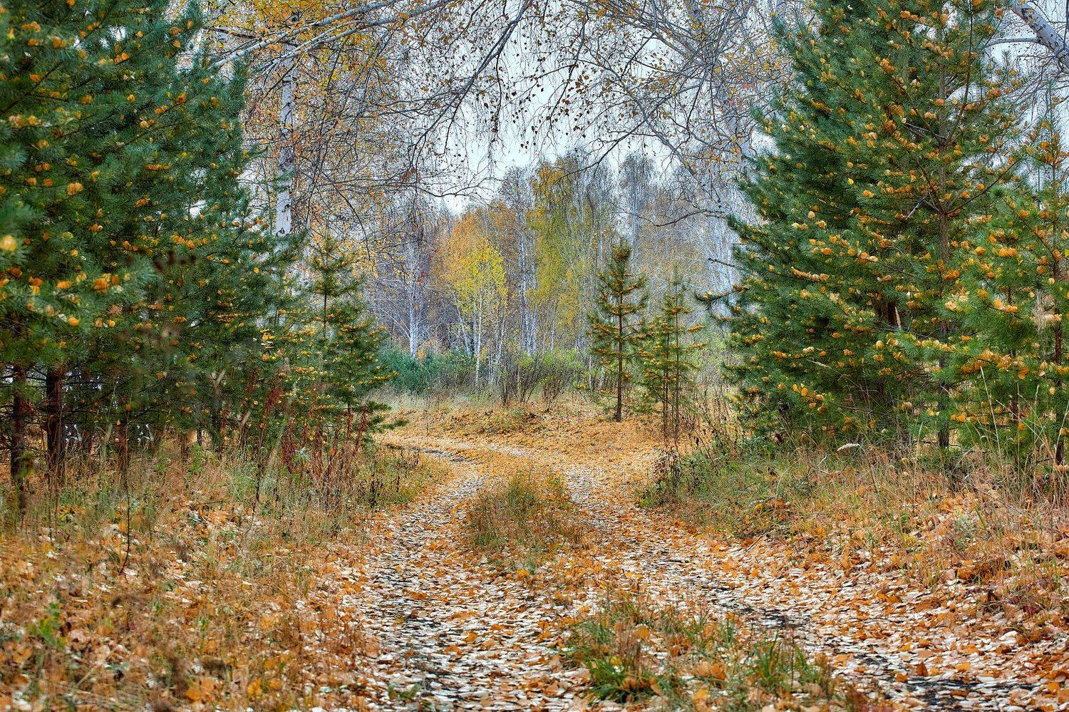 башкирия, южный урал орск новотроицк, Качурин Алексей