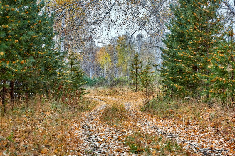 башкирия, южный урал орск новотроицк Сказка Осеннего Леса фото превью