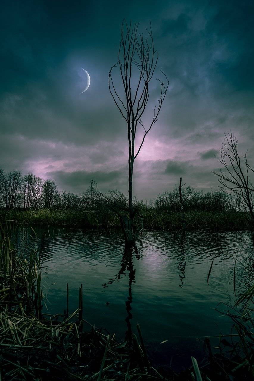 , Игорь Кляхин