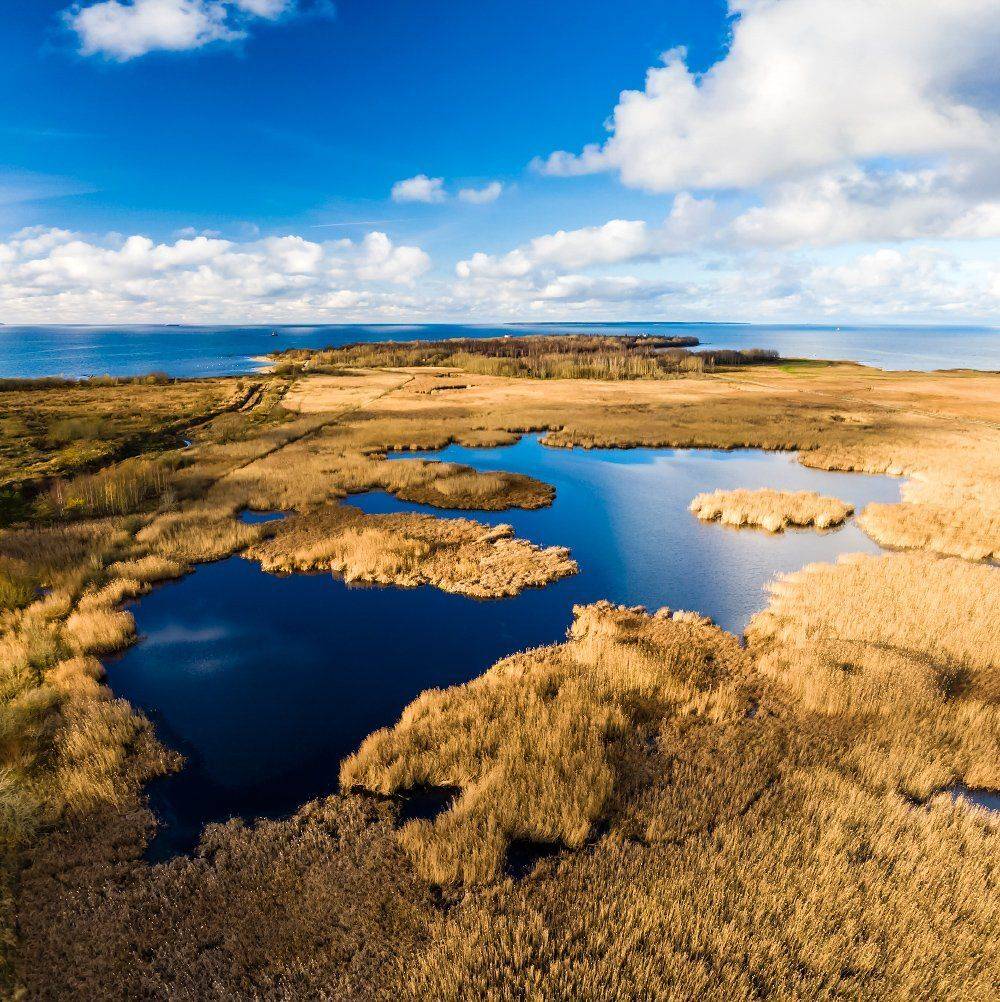 , Александр Абросимов