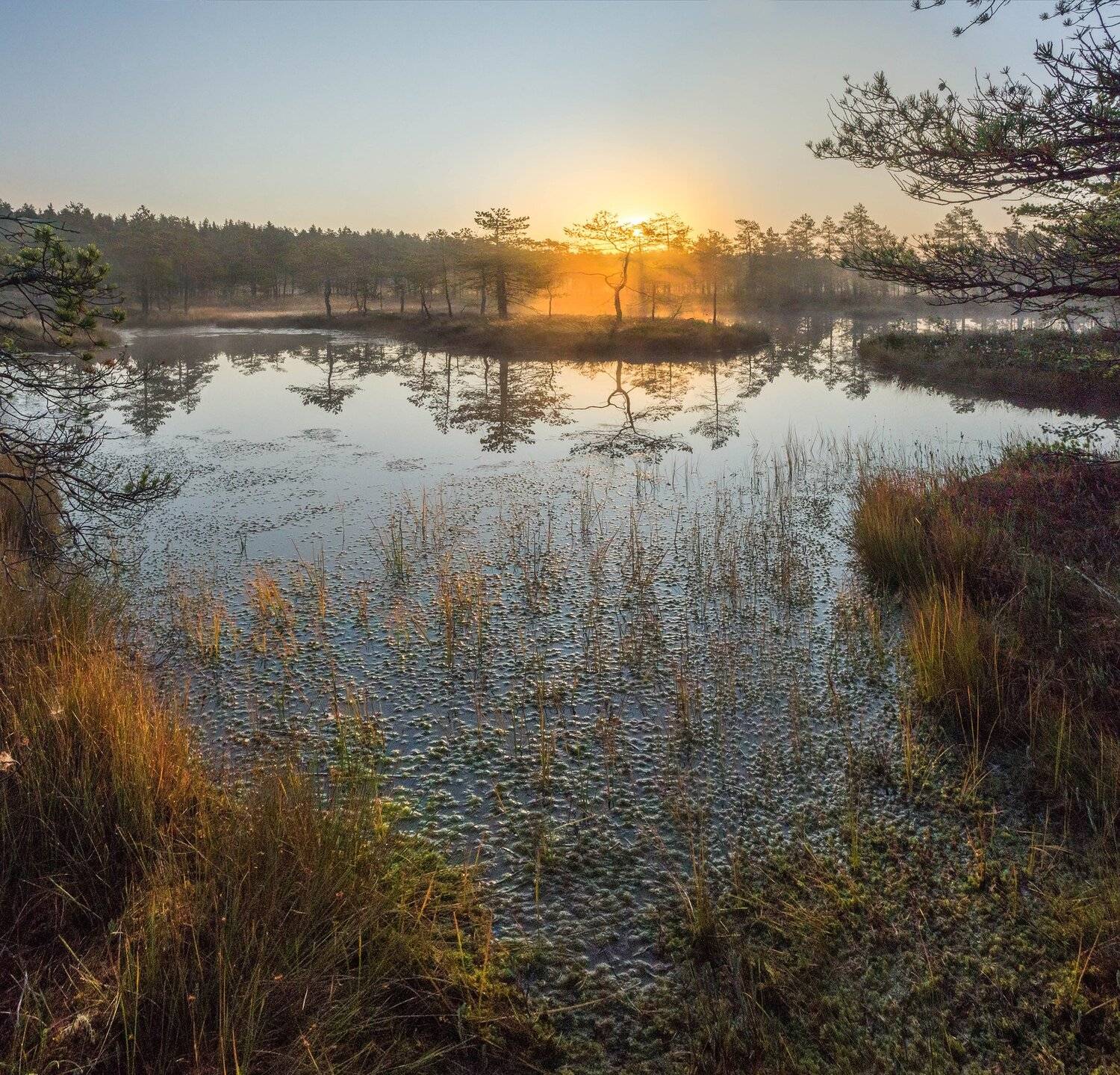 болото, кайф, рассвет ,север ,солнце, свет, закат, облака, отражение, фототур, Павел Ващенков