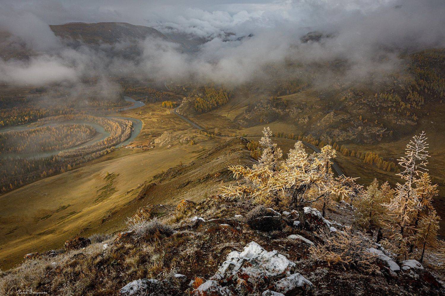 Алтай, осень, пейзаж, Лана Григорьева