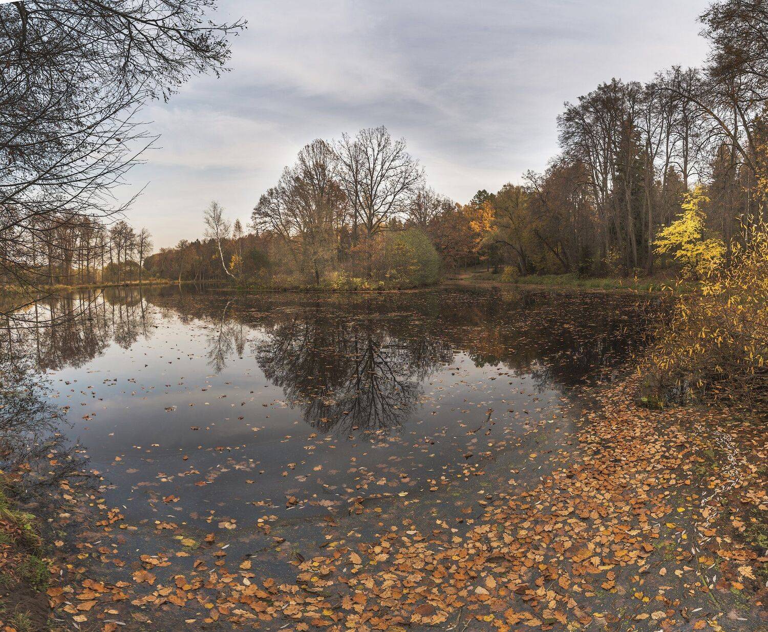 , Константин Дэм