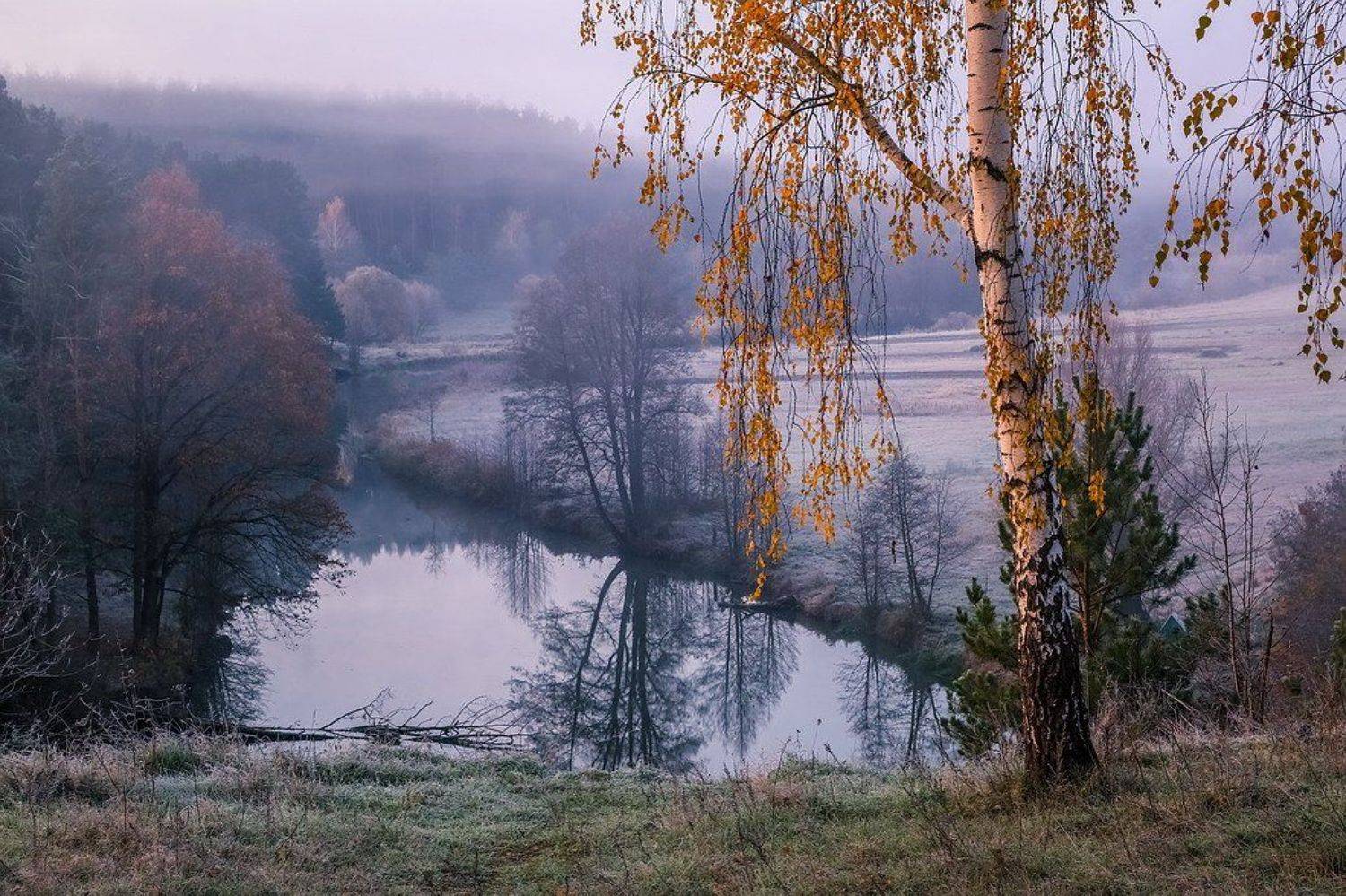 , Вячеслав Мищенко