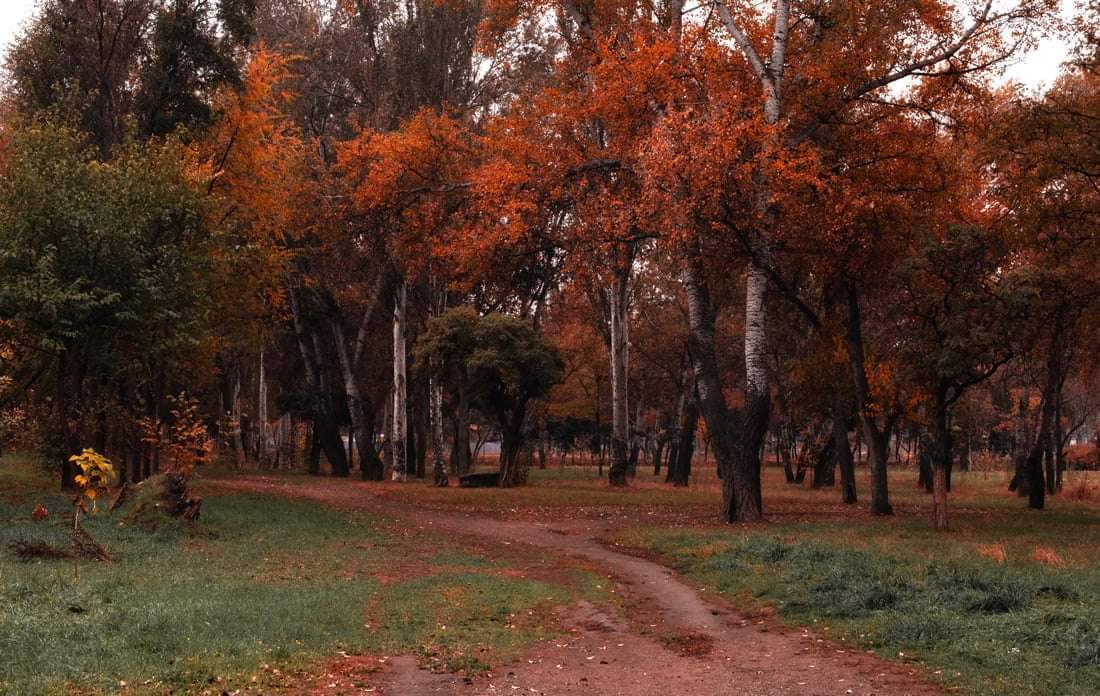 , Александр Хромеев