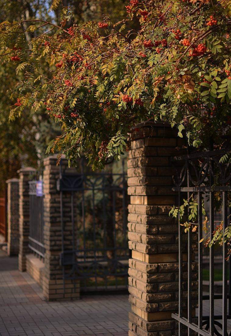 , Александр Хромеев