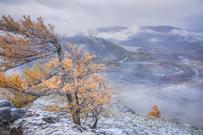 Холодное осеннее утро (Алтай) фото превью