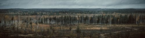 осенняя пустошь