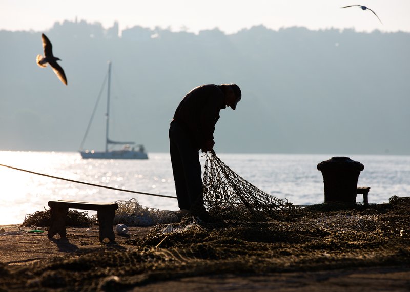 The Old Man and the Sea фото превью