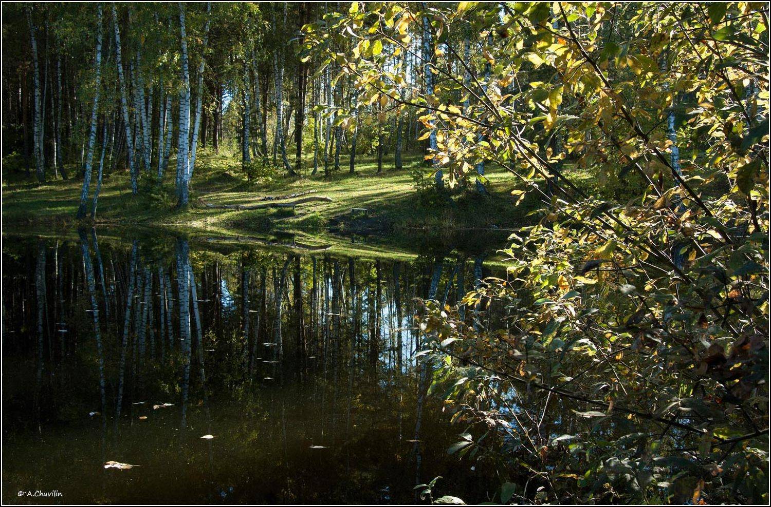 , Александр Чувилин